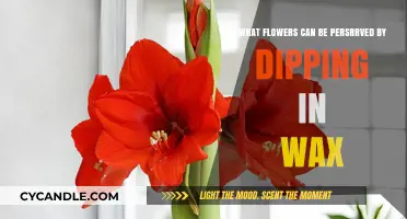 Wax-Dipped Wonders: Preserving Flowers with a Creative Twist