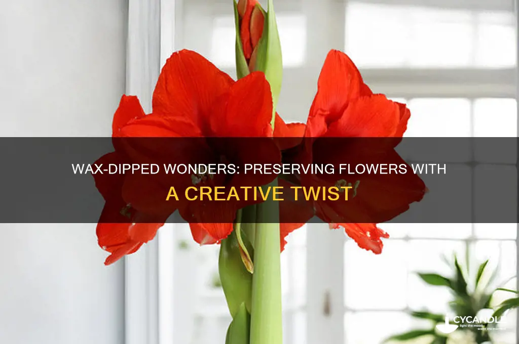 what flowers can be persrrved by dipping in wax