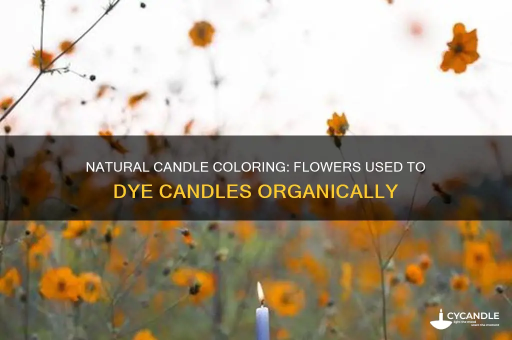 what flowers do they use in candles to dye them