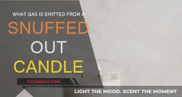 Snuffed Candles: The Mystery of Carbon Dioxide