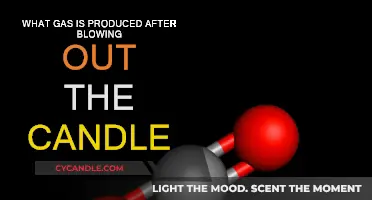 Carbon Dioxide: The Unseen Gas We Breathe Out