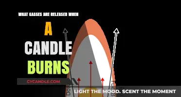 Candle Combustion: Unveiling the Gases Released During Burning