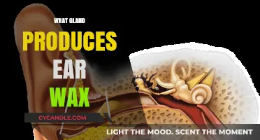 The Surprising Truth About Ear Wax Production: Which Gland is Responsible?