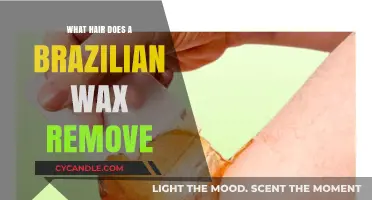 Brazilian Wax Explained: Which Hair Areas Are Removed and Why