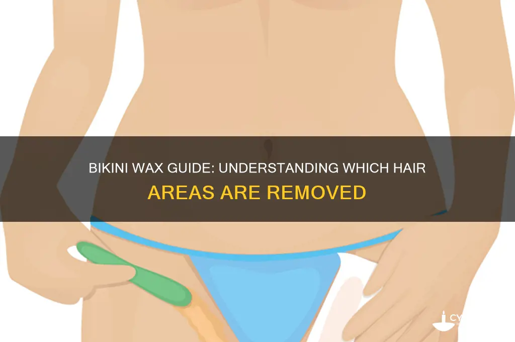 what hair is removed during a bikini wax