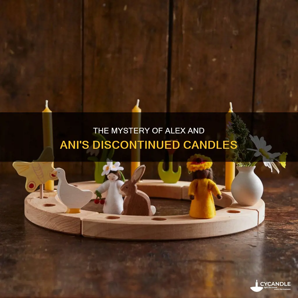 what happened to alex and ani candles