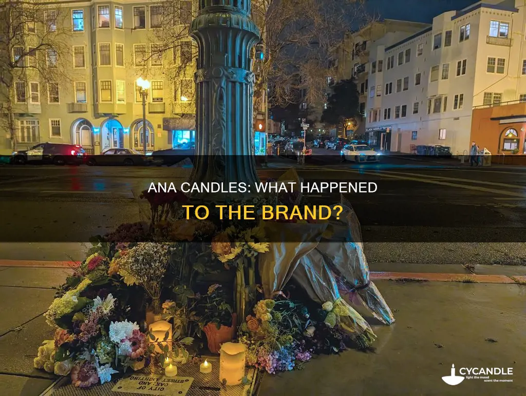 what happened to ana candles