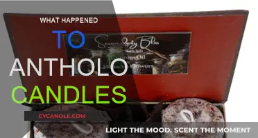 Anthology Candles: What Happened to This Beloved Brand?