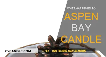 Aspen Bay Candles: What Happened to the Brand?