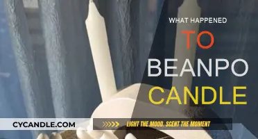 Beanpod Candles: What Happened to the Brand?