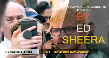 Ed Sheeran's Candle in the Wind: What Happened?