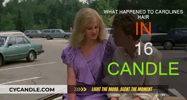 Caroline's Hair Disaster in 16 Candles: What Happened?