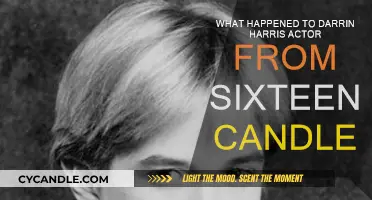 Where is Darrin Harris? The Sixteen Candles Actor's Story