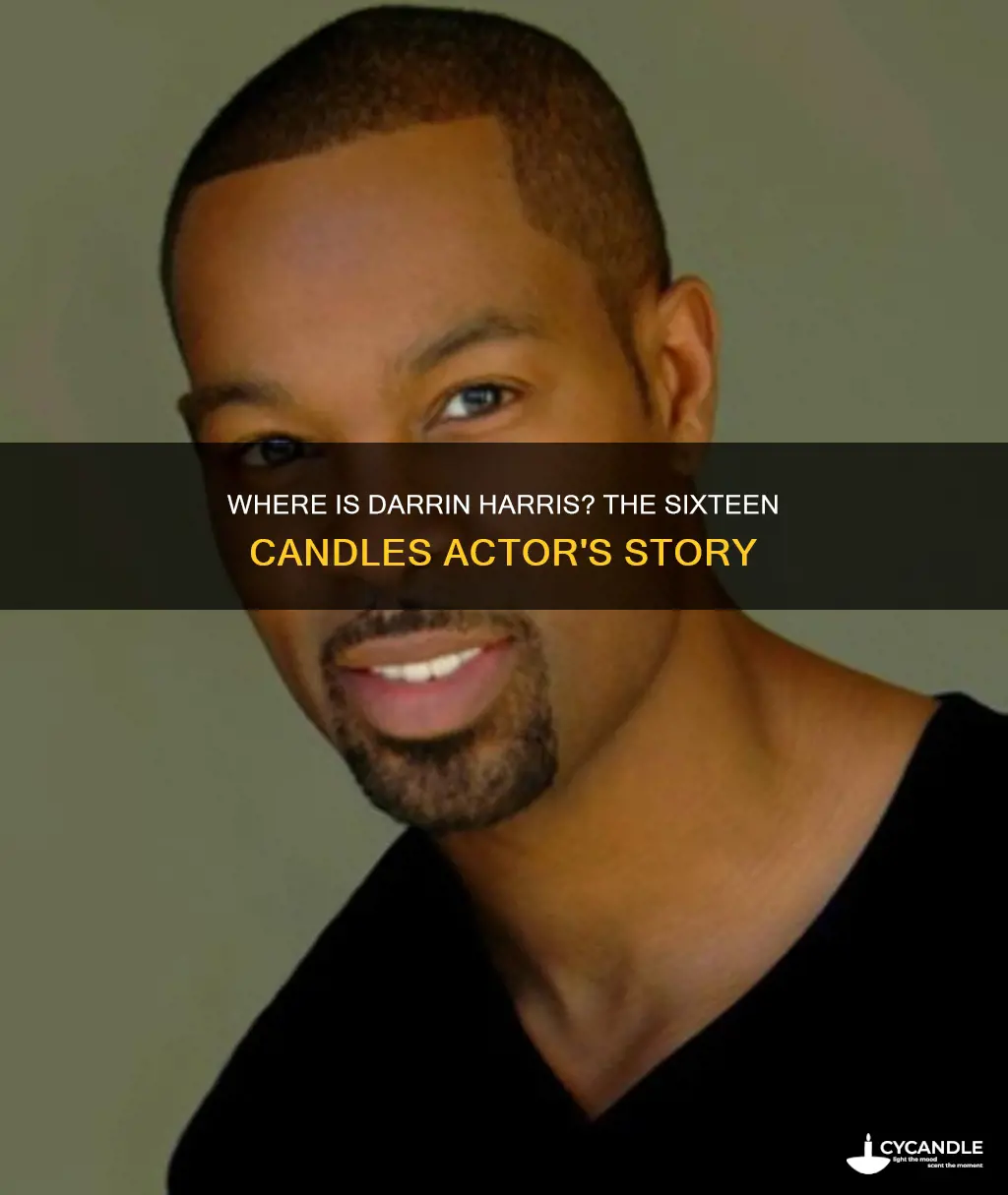 what happened to darrin harris actor from sixteen candles