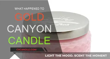 Gold Canyon Candles: What Happened to the Popular Brand?