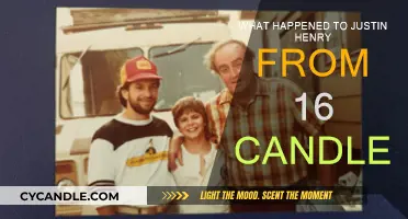 The Mystery of Justin Henry's Disappearance After '16 Candles