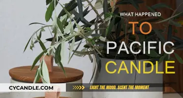 Pacifica Candles: What Happened and Why?
