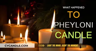 Pheylonian Candles: What Happened to This Popular Brand?