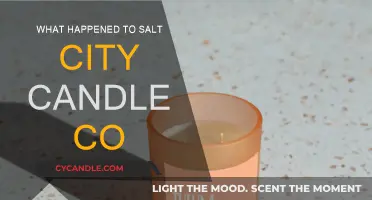 Salt City Candle Co: What Happened to the Beloved Brand?
