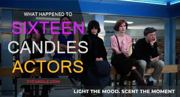 Where Are the Stars of Sixteen Candles Now?