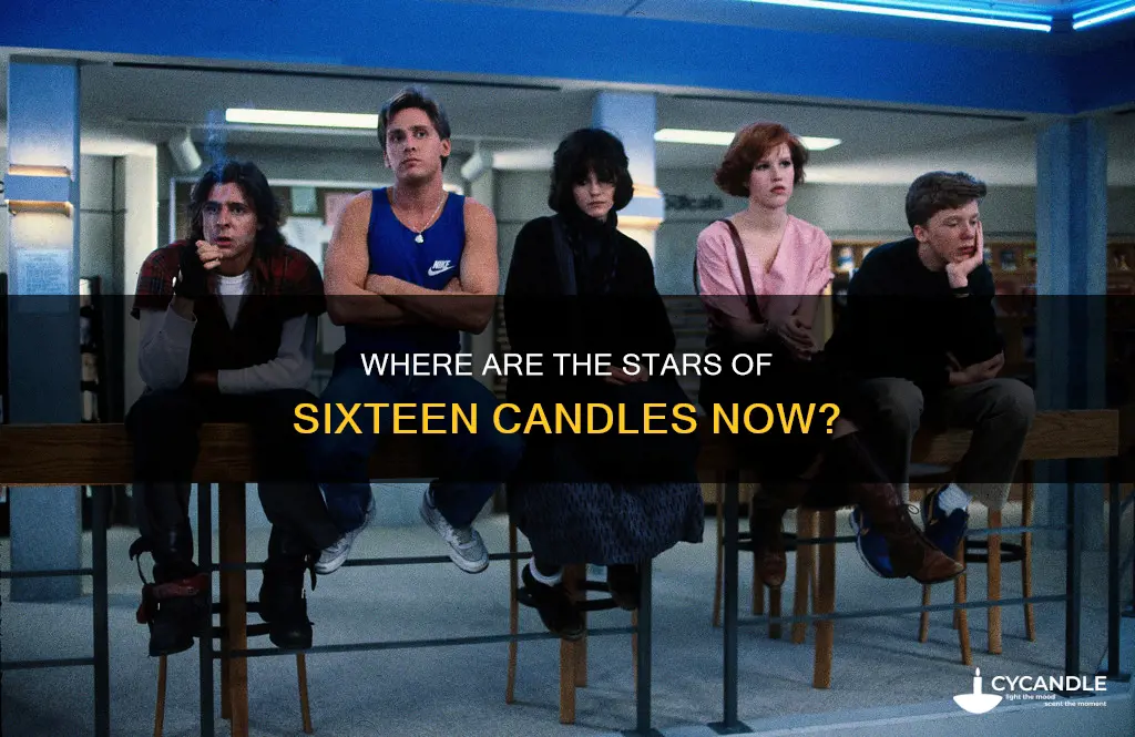 what happened to sixteen candles actors