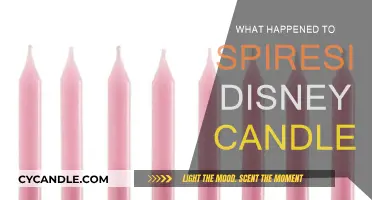 Spireside Disney Candles: What Happened to the Magic?
