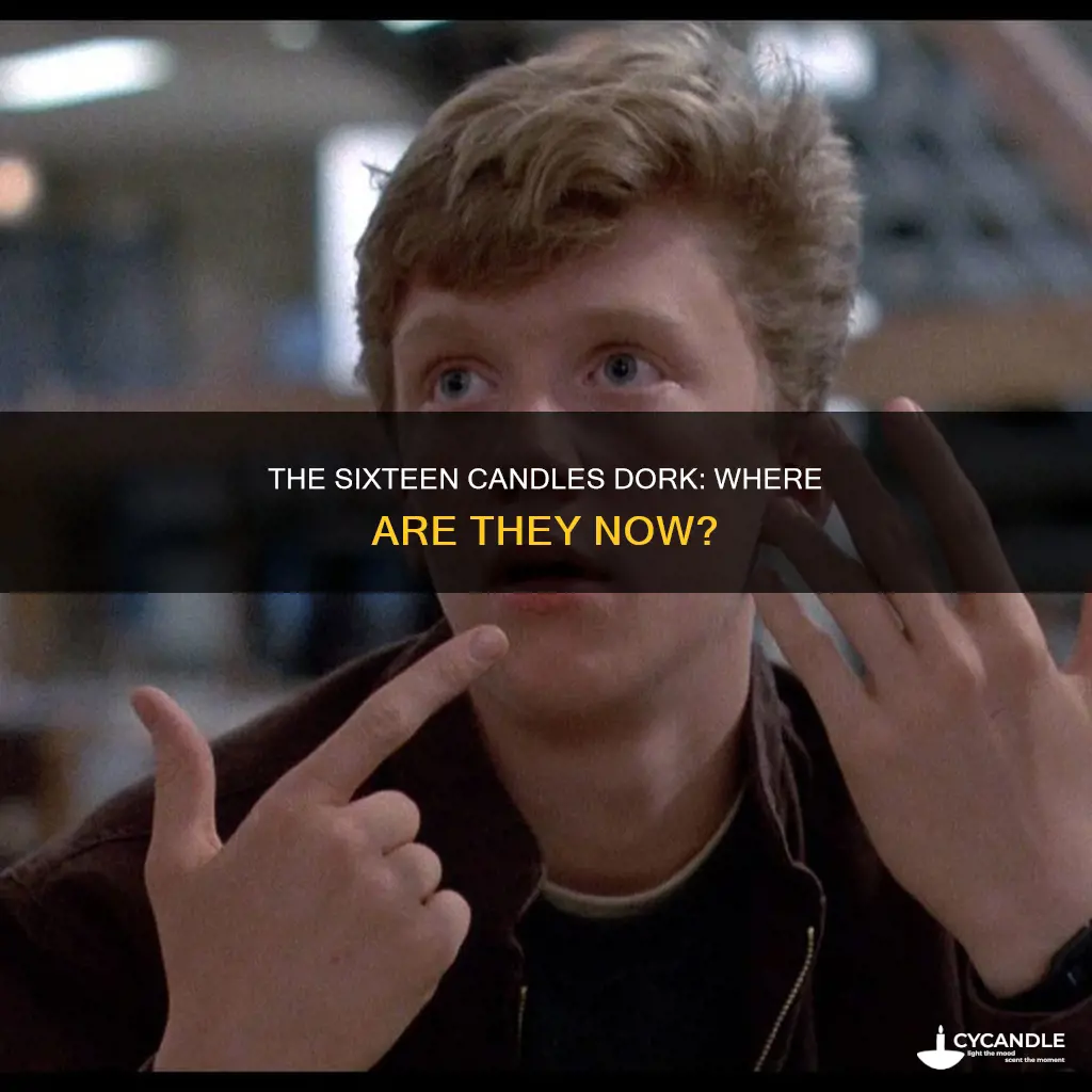 what happened to the dork from sixteen candles