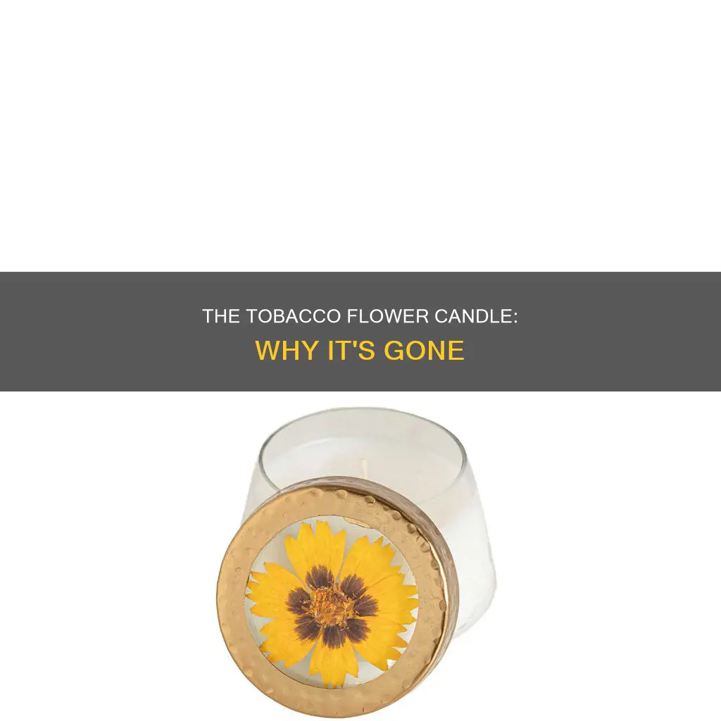 what happened to the tobacco flower candle