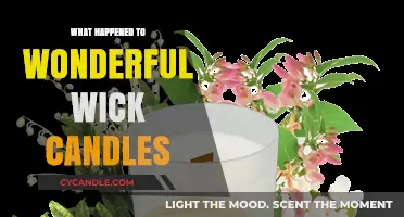 The Mysterious Disappearance of Wonderful Wick Candles: What Happened?