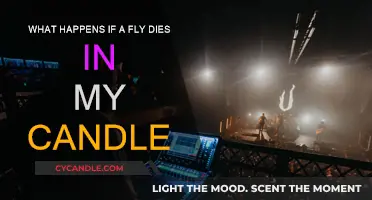 Fly in the Flame: What Happens When It Dies?