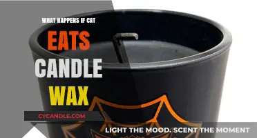 Cat Ate Candle Wax? Symptoms, Risks, and What to Do Next
