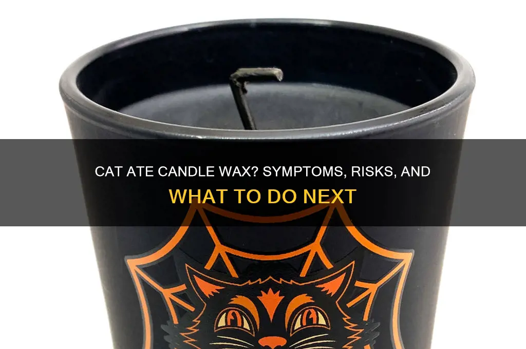 what happens if cat eats candle wax