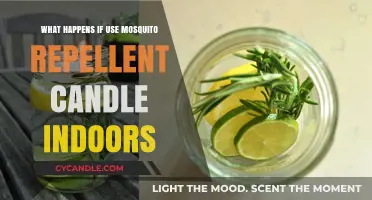 Indoor Mosquito Repellent Candles: Safety, Risks, and Effective Alternatives