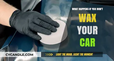 Neglecting Car Wax: Consequences of Skipping This Essential Maintenance