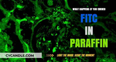 Embedding FITC in Paraffin: Effects, Challenges, and Optimal Techniques