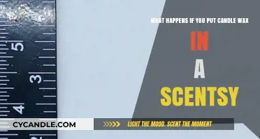 Candle Wax in Scentsy: Risks, Damage, and Safe Alternatives Explained
