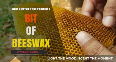 Swallowing Beeswax: What Happens and Should You Be Concerned?