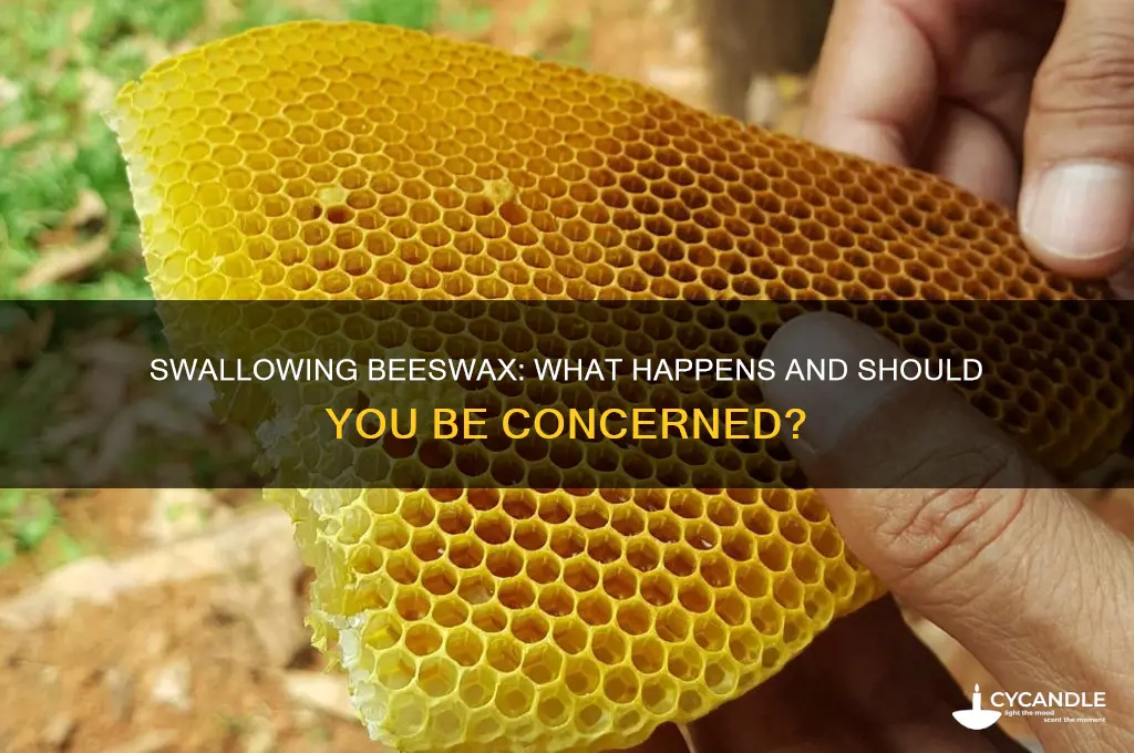 what happens if you swallow a bit of beeswax