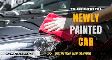 Waxing a Newly Painted Car: Risks and Best Practices