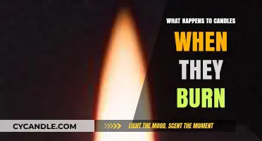 The Science Behind Burning Candles: Wax, Flame, and Fumes Explained
