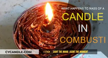 Candle Combustion: Where Does the Mass Go?