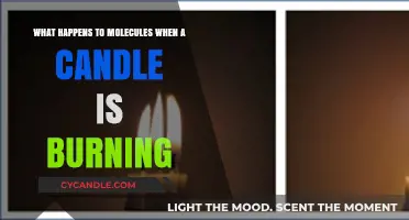 Candle Chemistry: Unveiling Molecular Transformations During Combustion
