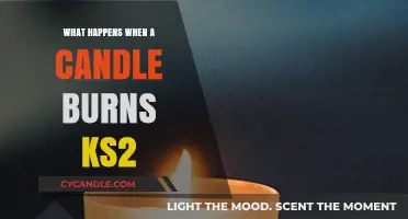 Candle Burning Explained: KS2 Science Behind the Flame's Magic