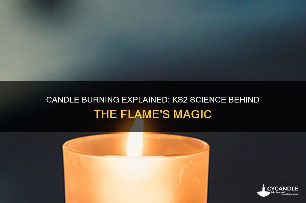 what happens when a candle burns ks2