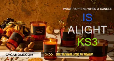 Candle Chemistry: The Science of Burning Wax