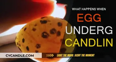 Candling Eggs: What's Happening Inside the Shell?