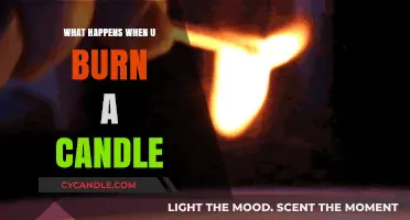 The Science Behind Burning Candles: Wax, Flame, and Byproducts Explained