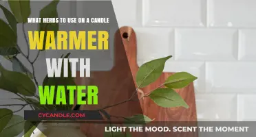 Aromatic Herbs for Water-Based Candle Warmers: Enhance Your Space Naturally