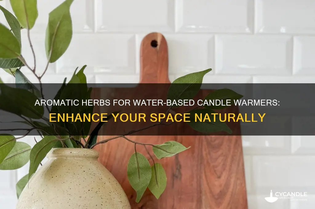 what herbs to use on a candle warmer with water