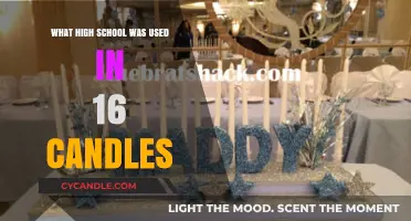 Unveiling the High School Filming Location of 16 Candles Classic